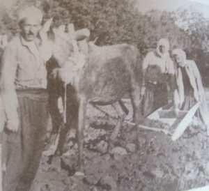 ارض عين الشرش وهي اليوم ساحة جورج خوري