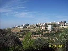 فرية بملكة الجميلة