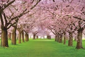 في الفصح تزهر الطبيعة