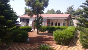 مقام سيدة الينبوع الحي/ الجوزية في اللاذقية