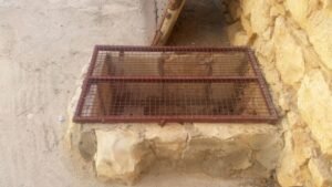 دير القديس خريستوفوروس البطريركي في صيدنايا