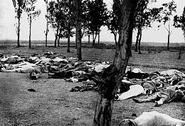 صفحة من المجازر التركية بحق الروم الأرثوذكس يوناً وعرباً من ابناء الكرسيين الانطاكي والقسطنطيني…