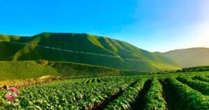 وادي ونهر اليرموك