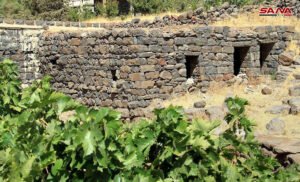 قرية سهوة الخضر