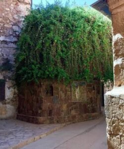 شجرة العليقة 