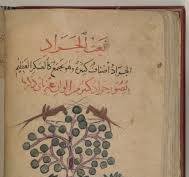 النسخة الاصلية من كتاب نعت الحيوان لابن بختيشوع تعود الى القرن العاشر المسيحي