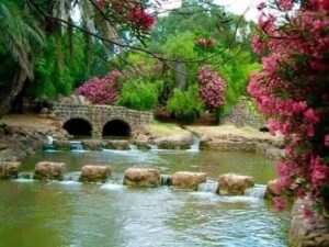 من الجولان المحتلالحمة السورية القديمة (قبل الاحتلال)