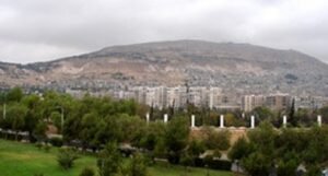 تشجير جبل قاسيون