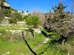 قلعة المينقة في ريف جبلة