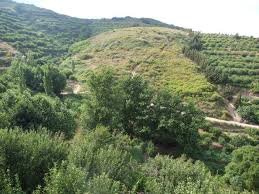 ضهر القصير .. قصة من قصص جمال سورية بسحر طبيعتها