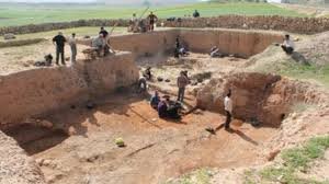 اعمال التنقيب مع البعثة البولونية