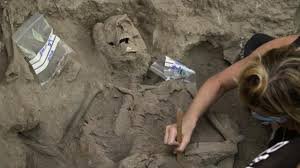 طبعاً فحوص ال DNA تؤكد علم التاريخ و علم الآثار