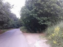 ضهر القصير .. قصة من قصص جمال سورية بسحر طبيعتها