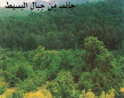 جانب من جبال البسيط