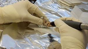 طبعاً فحوص ال DNA تؤكد علم التاريخ و علم الآثار