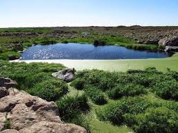 مجرى وادي الزيدي