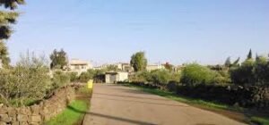 البيت “الأوغاريتي”.. “ديلوكس” قبل ثلاثة آلاف عام!