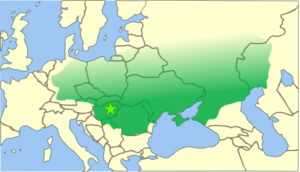 الامبراطورية الهونية الغربية امتدت من سهوب آسيا الوسطى إلى ألمانيا المعاصرة، ومن البحر الأسود إلى بحر البلطيق.