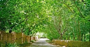 من بساتين الغوطة الدمشقية