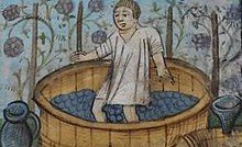 عصر العنب تاريخيا