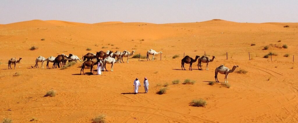 صحراء الجزيرة العربية