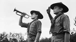 وعد وقانون الكشاف