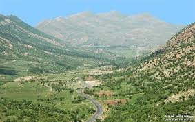 الباير والبسيط في جبال الساحل السورية