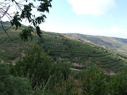 ضهر القصير .. قصة من قصص جمال سورية بسحر طبيعتها